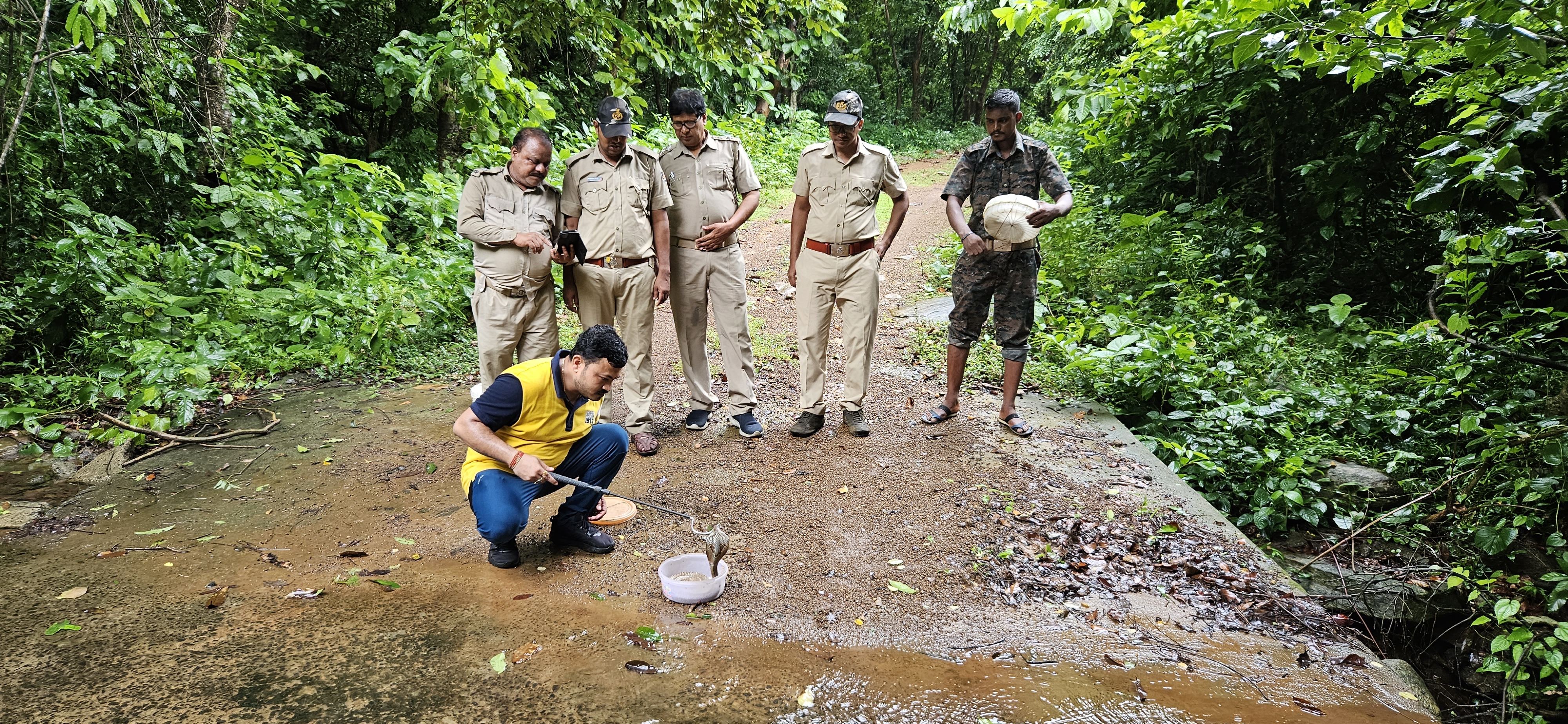 Snake Rescue Operation